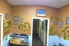 Turtle Tank and Waiting Area for Lab