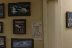 “The 7th Continent Wall” – Dr. Fitch, Sr’s Photograph Collection